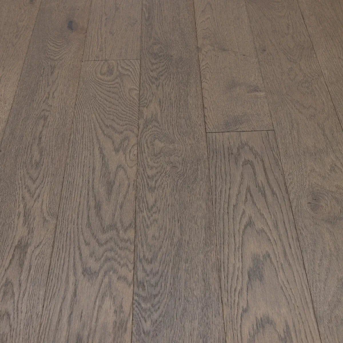 StudioAmarettoAngle2